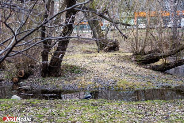 Мэрия Екатеринбурга официально назвала парк, получивший деньги на благоустройство - Фото 1