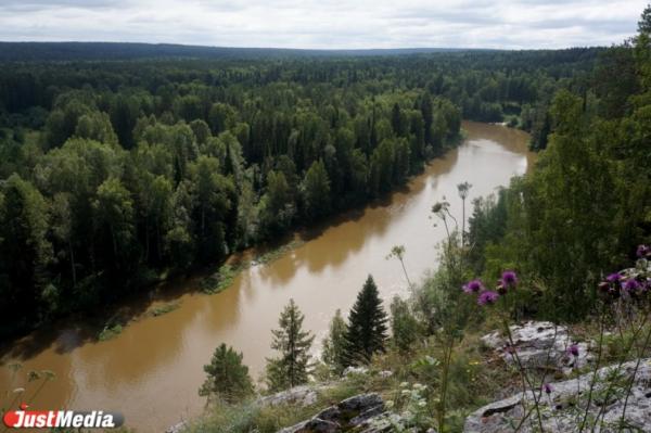 В Свердловской области установили границы для 70% особых охраняемых природных территорий - Фото 1