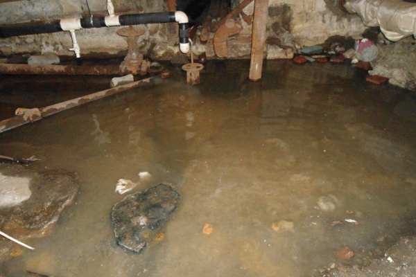 Жиры в трубах, фекалии в подвале! Жильцы дома на Малышева обвиняют «узбечку» в затоплении здания нечистотами - Фото 1