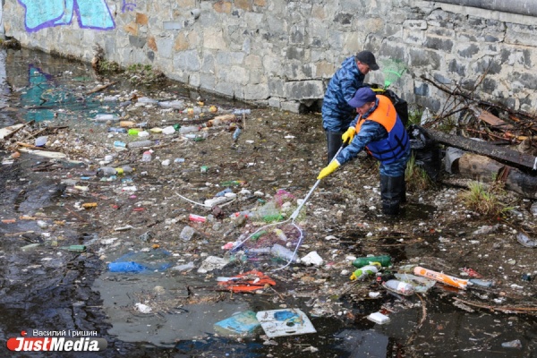 Деревья, шины и даже телефоны: в Екатеринбурге приступили к уборке городского пруда - Фото 1