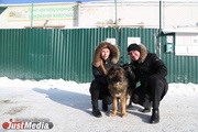 В Екатеринбурге устраивают тест-драйв бездомных собак, чтобы спасти им жизнь. СПЕЦПРОЕКТ