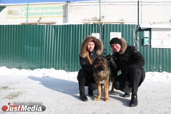 В Екатеринбурге устраивают тест-драйв бездомных собак, чтобы спасти им жизнь. СПЕЦПРОЕКТ - Фото 1
