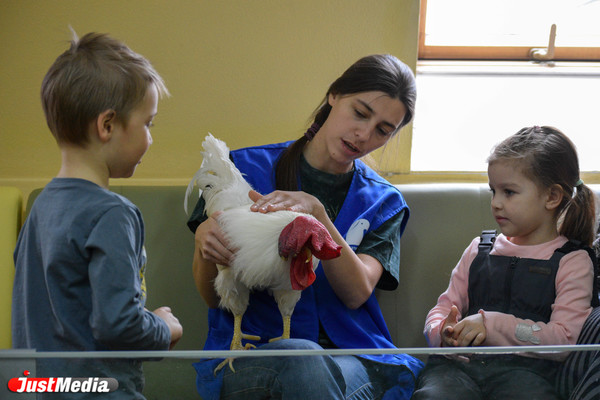 Анималотерапия: как в Екатеринбургском зоопарке животные помогают детям и снимают стресс взрослым - Фото 1
