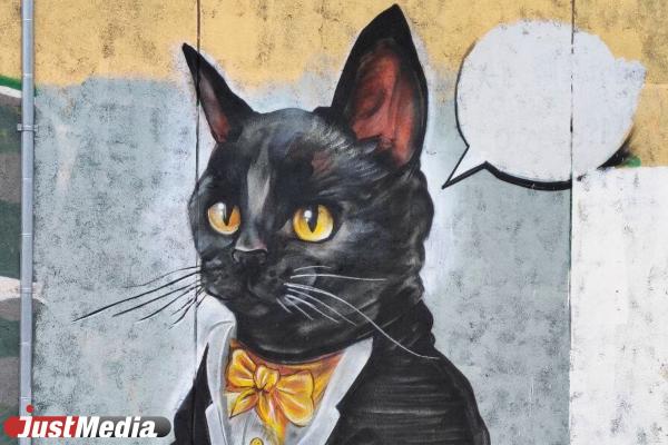 Екатеринбург – город кошачьего стрит-арта. Подборка граффити с изображением усатых в честь Дня кошек - Фото 1