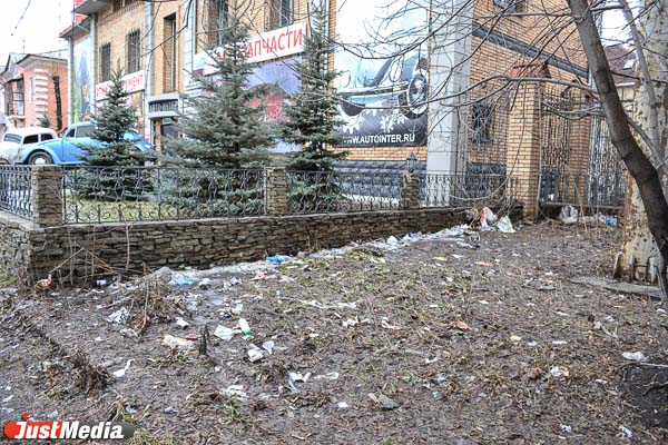 И это все …овно! Весна обнажила одну из самых неприглядных проблем Екатеринбурга - Фото 4