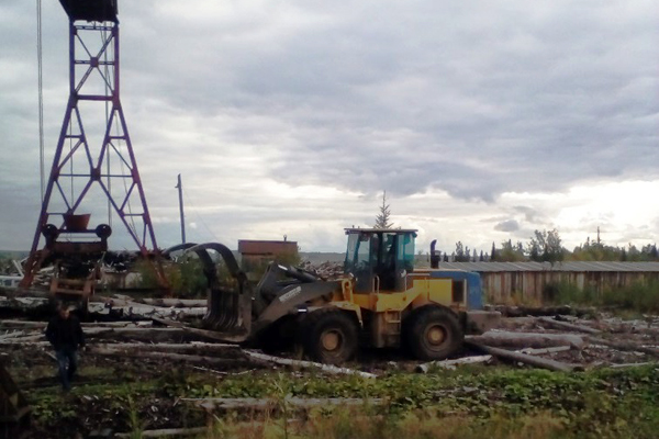 Лесопромышленный комбинат в Серове едва не лишился всего имущества из-за долгов перед работниками - Фото 3