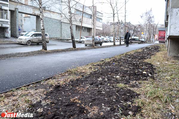 И это все …овно! Весна обнажила одну из самых неприглядных проблем Екатеринбурга - Фото 2