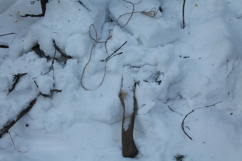 В Нижних Сергах задержали браконьера, который убил лося для новогоднего стола. ФОТО 18+ - Фото 3
