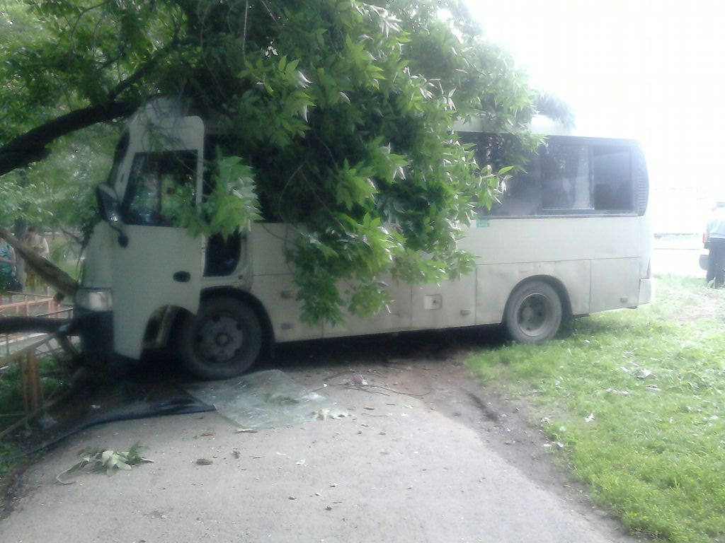 В ДТП с участием пассажирского автобуса пострадали пять человек - Фото 2