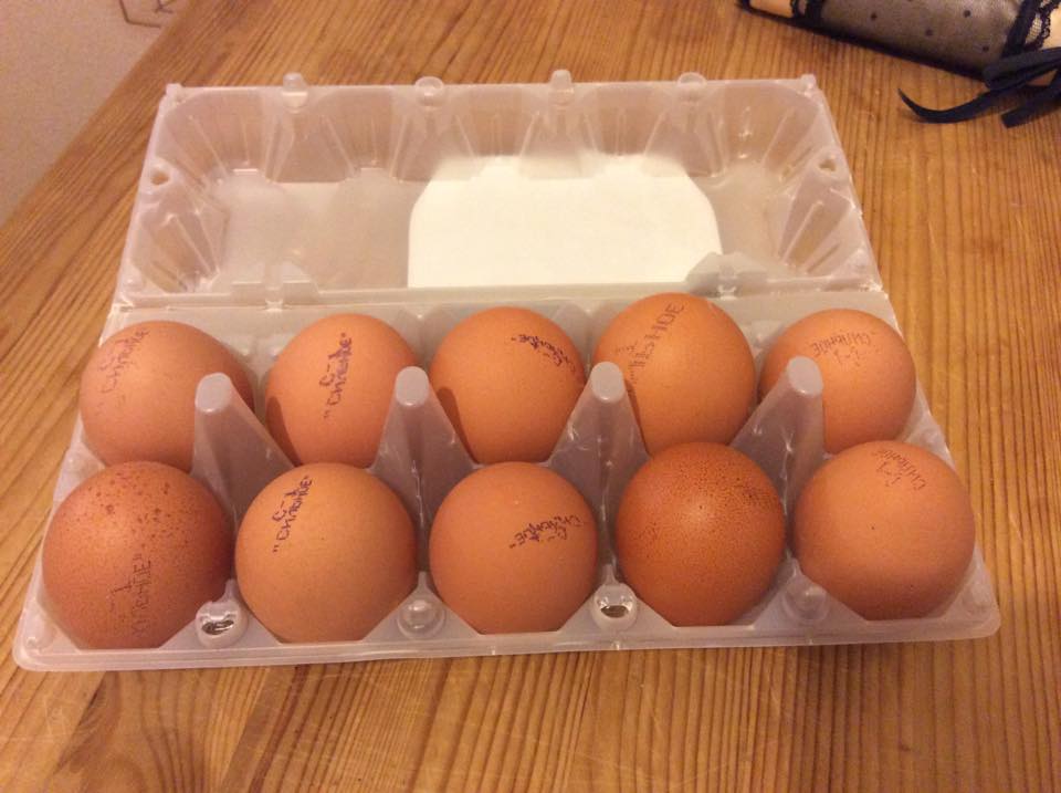 В магазинах Екатеринбурга появилось яйцо с сюрпризом - Фото 3
