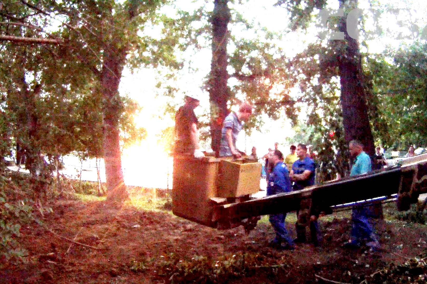 На ЖБИ спасатели сняли с дерева парня, который пытался спасти дочь президента - Фото 2