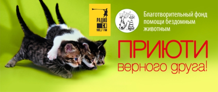 Почти 100 000 рублей собрано в Екатеринбурге на строительство приюта для бездомных животных - Фото 2