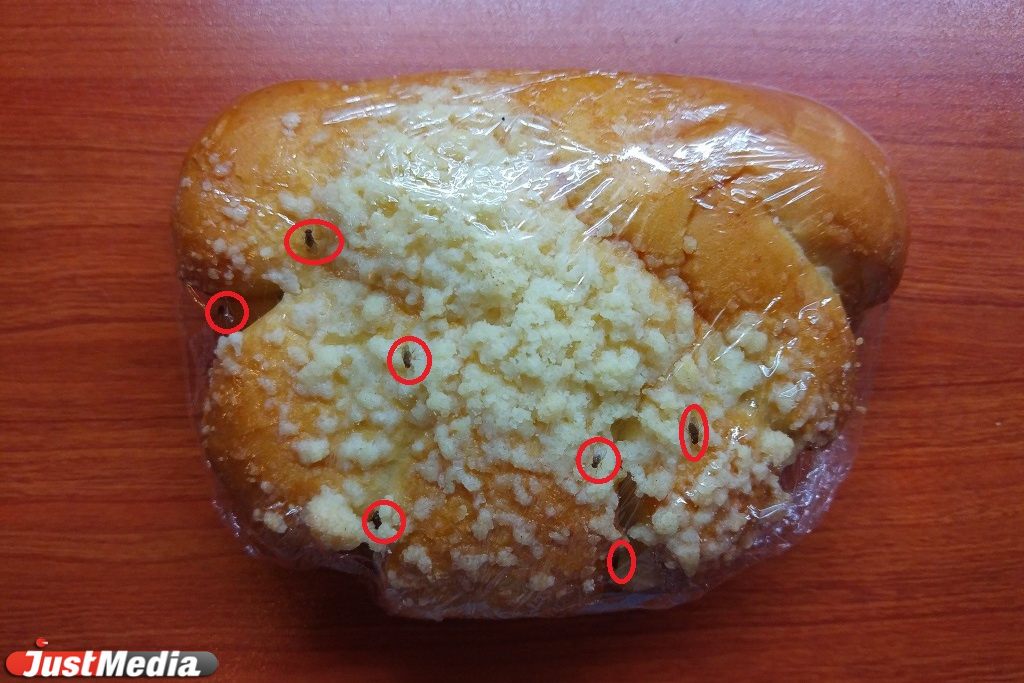 Екатеринбуржцы утверждают, что купили в «Мегамарте» булочку с живыми дрозофилами - Фото 2