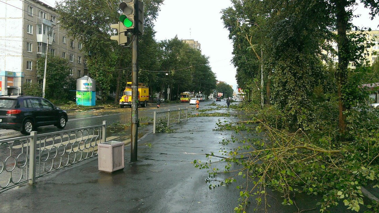 Езда с преградами. Дороги и тротуары Екатеринбурга завалило деревьями. ФОТО - Фото 2