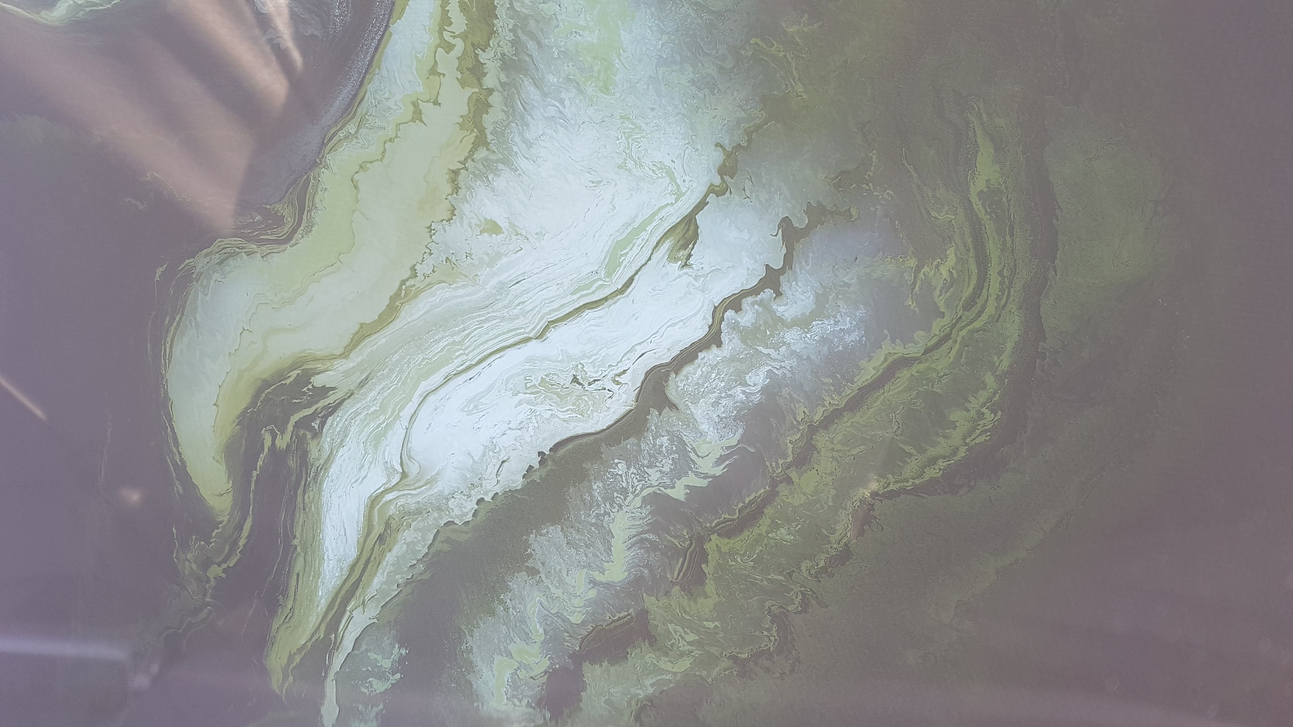 Экологи просят Чайку спасти нижнетагильский пруд. ФОТО, ВИДЕО - Фото 2