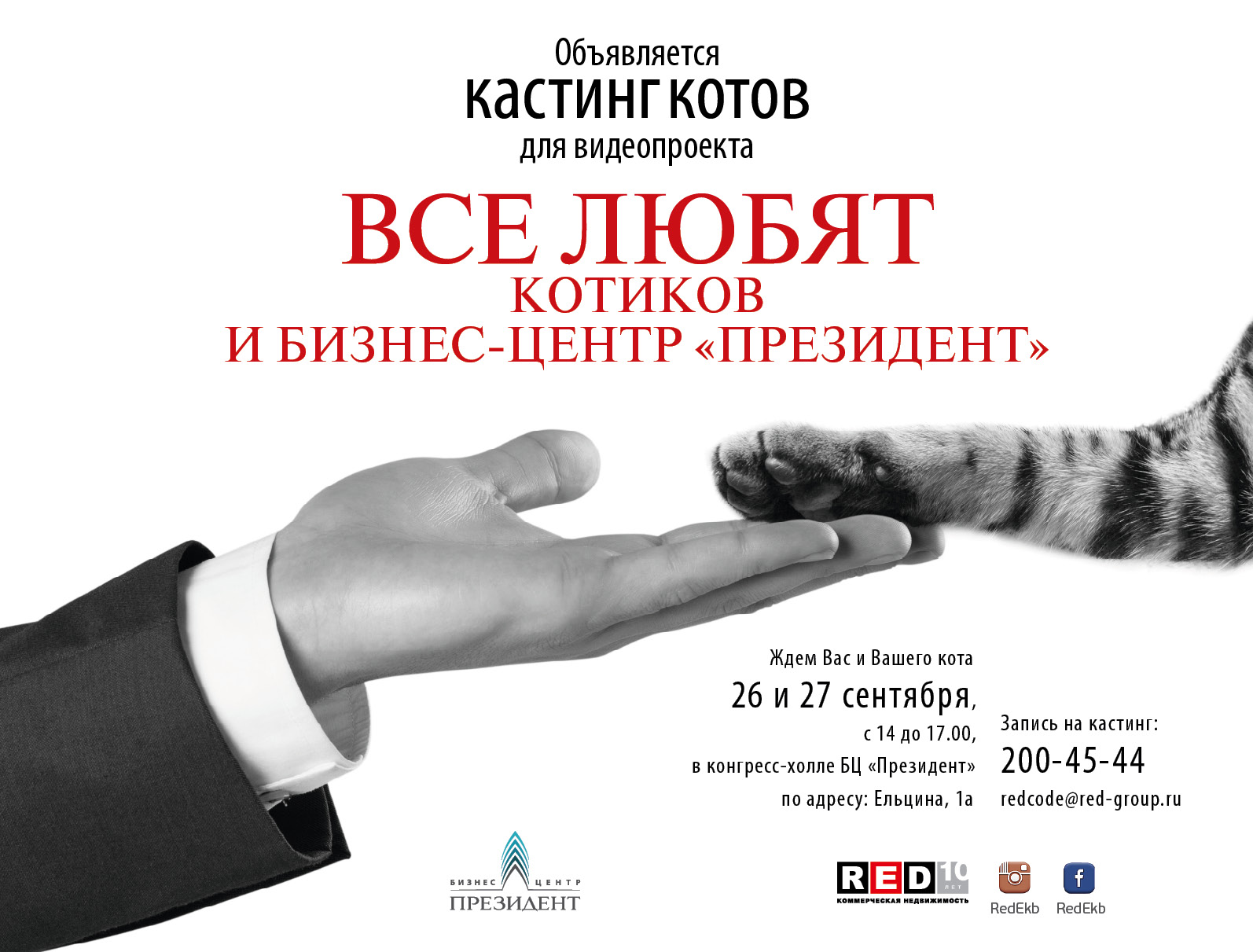 В Екатеринбурге более пятидесяти котов претендуют на должность арендатора многоэтажного бизнес-центра - Фото 2