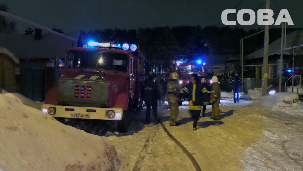 На улице Ягодной горели надворные постройки и гараж. Пожарные спасли кошку - Фото 2