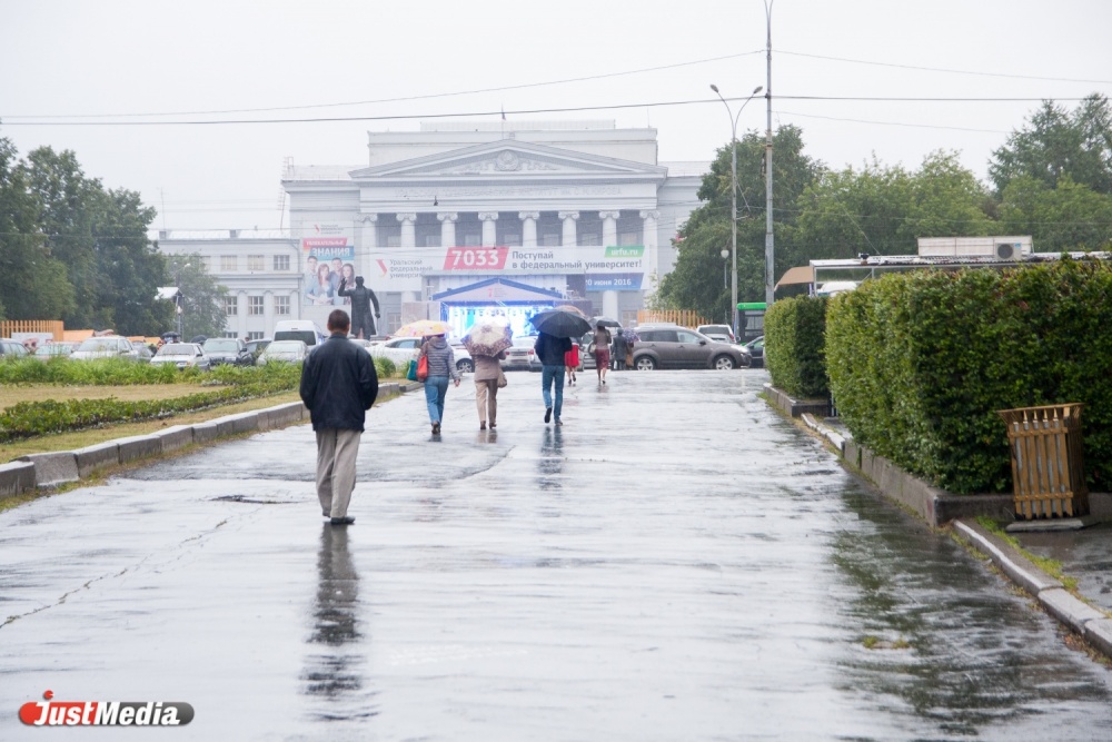 Зонтики, дождевики и живой звук. В Екатеринбурге под проливным дождем открылся седьмой Венский фестиваль - Фото 5
