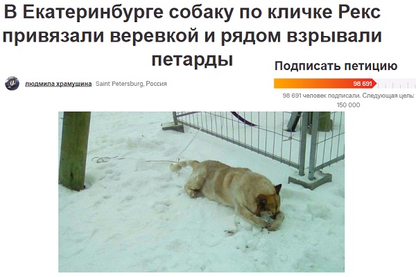Почти 100 тысяч россиян подписали петицию, призывающую расследовать убийство пса на Широкой Речке - Фото 2