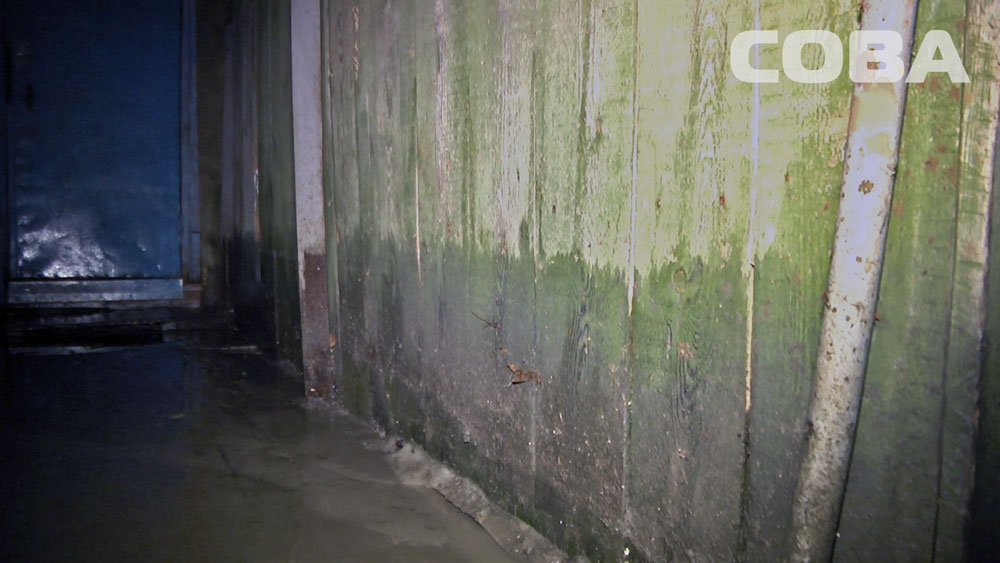  В Екатеринбурге частный дом на Южной залило талой водой. Хозяйка винит в этом застройщика близлежащей высотки - Фото 8