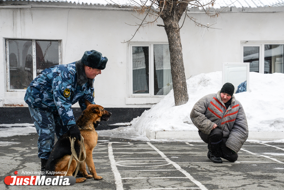 JustMedia.ru побывал в ИК-10, где увидел, как работают пушистые сотрудники ГУФСИН - Фото 10