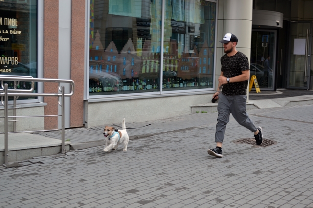 Четвероногий ревизорро Брюс и его хозяин Александр Цариков проверяют доступность екатеринбургских ресторанов для собак - Фото 2
