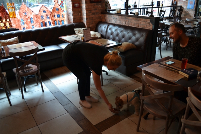 Четвероногий ревизорро Брюс и его хозяин Александр Цариков проверяют доступность екатеринбургских ресторанов для собак - Фото 3