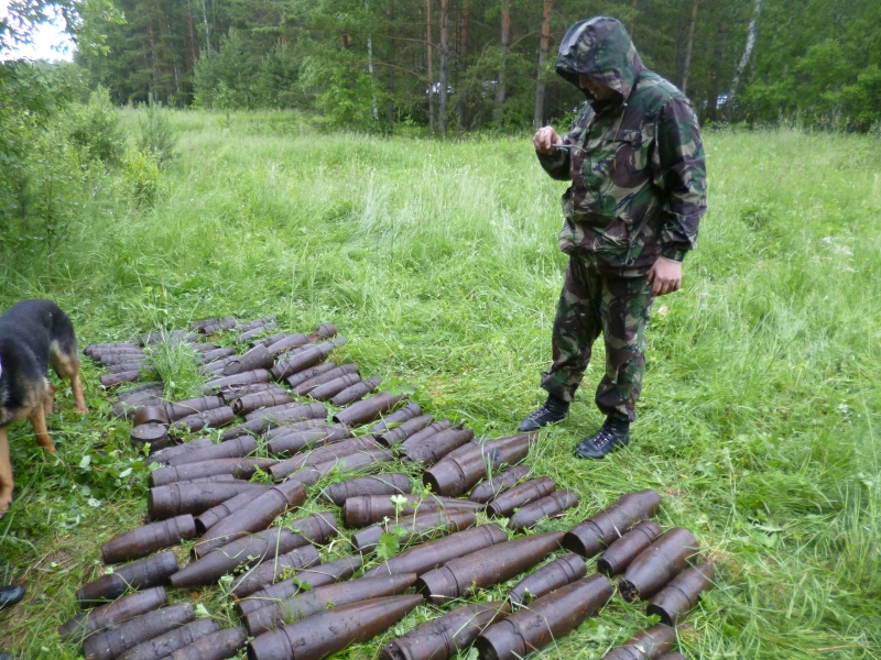 В Полевском грибники нашли в лесу 90 снарядов - Фото 2