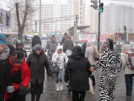 Сотрудники ГИБДД и «зебры» ловили в Екатеринбурге пешеходов-нарушителей - Фото 2