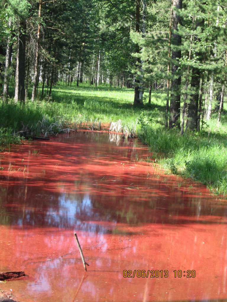Озеро под Екатеринбургом стало красным после покраски радиовышки - Фото 2