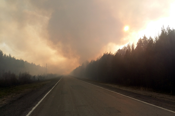 В Тавде продолжает тушение крупного лесного пожара. Движение по автотрассе восстановлено - Фото 4