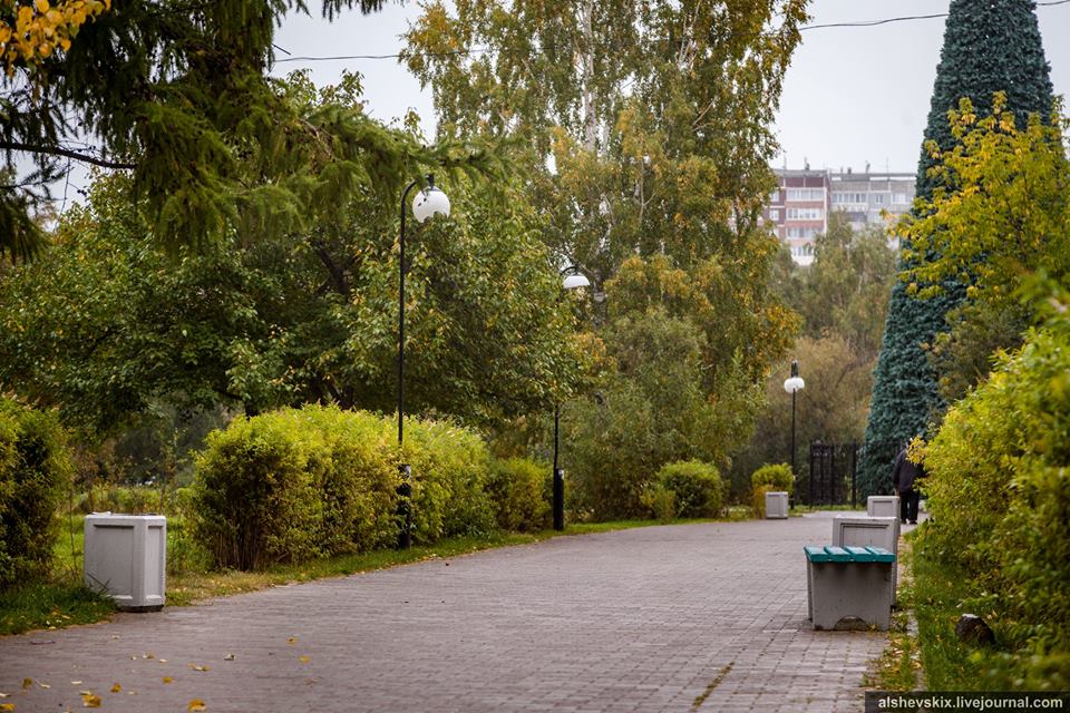Администрация Екатеринбурга ищет спонсоров для установки светильников в городской парк - Фото 2