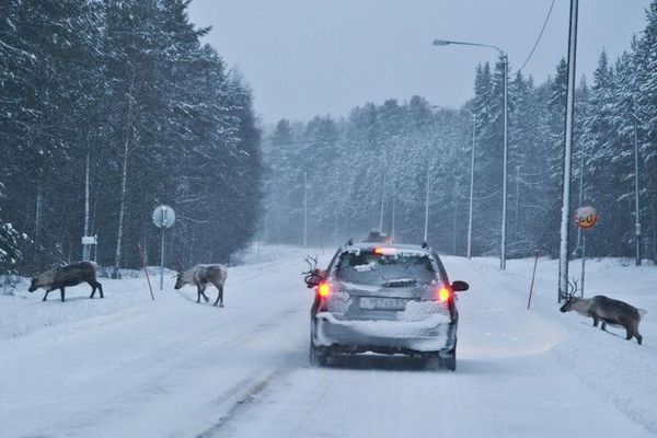 Полезные советы для путешествия в Финляндию на машине - Фото 3