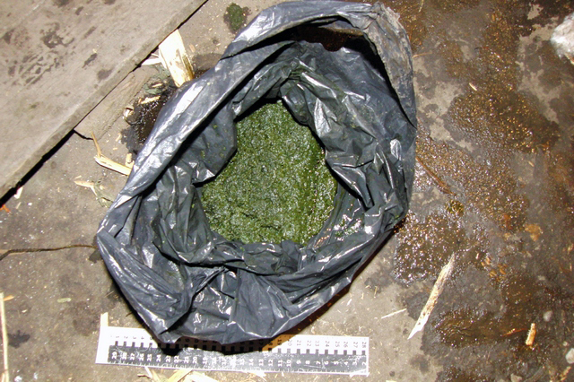 В Ирбите три подельника-наркомана попались на изготовлении запрещенных веществ - Фото 2
