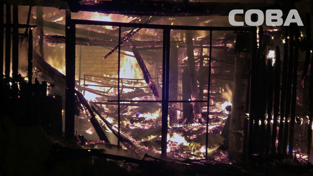 На улице Ягодной горели надворные постройки и гараж. Пожарные спасли кошку - Фото 3