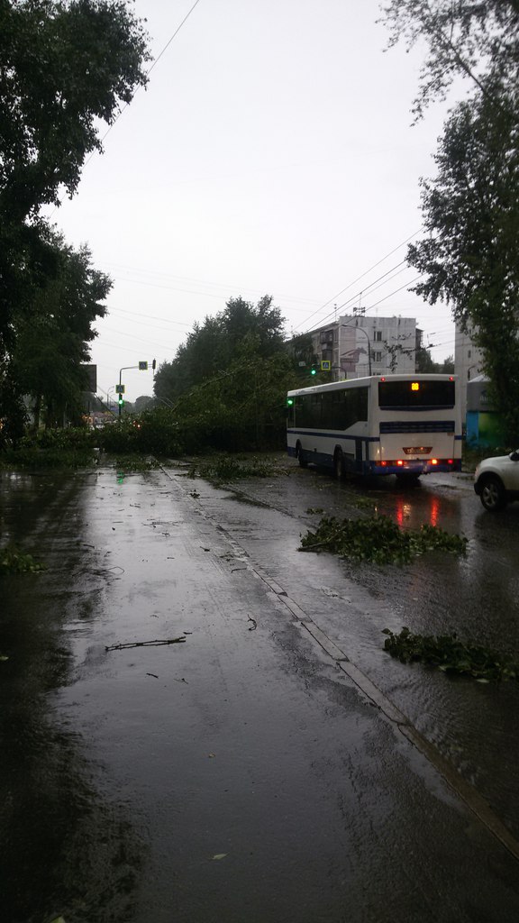Езда с преградами. Дороги и тротуары Екатеринбурга завалило деревьями. ФОТО - Фото 10