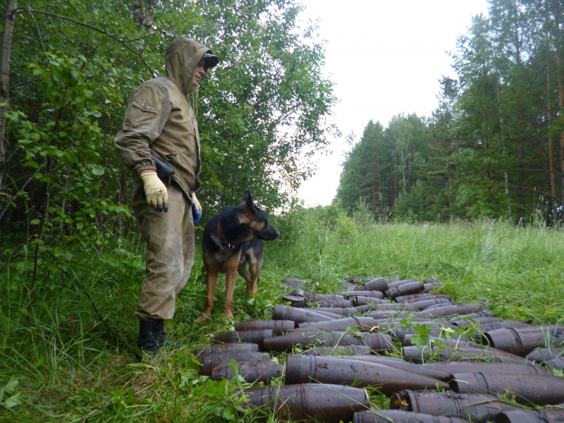В Полевском грибники нашли в лесу 90 снарядов - Фото 4