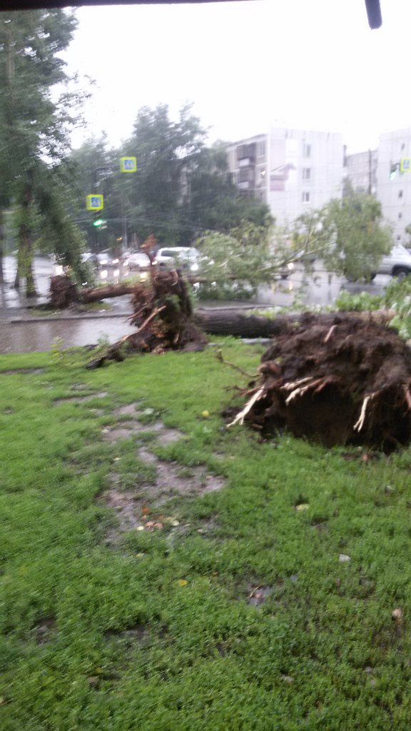 Езда с преградами. Дороги и тротуары Екатеринбурга завалило деревьями. ФОТО - Фото 11