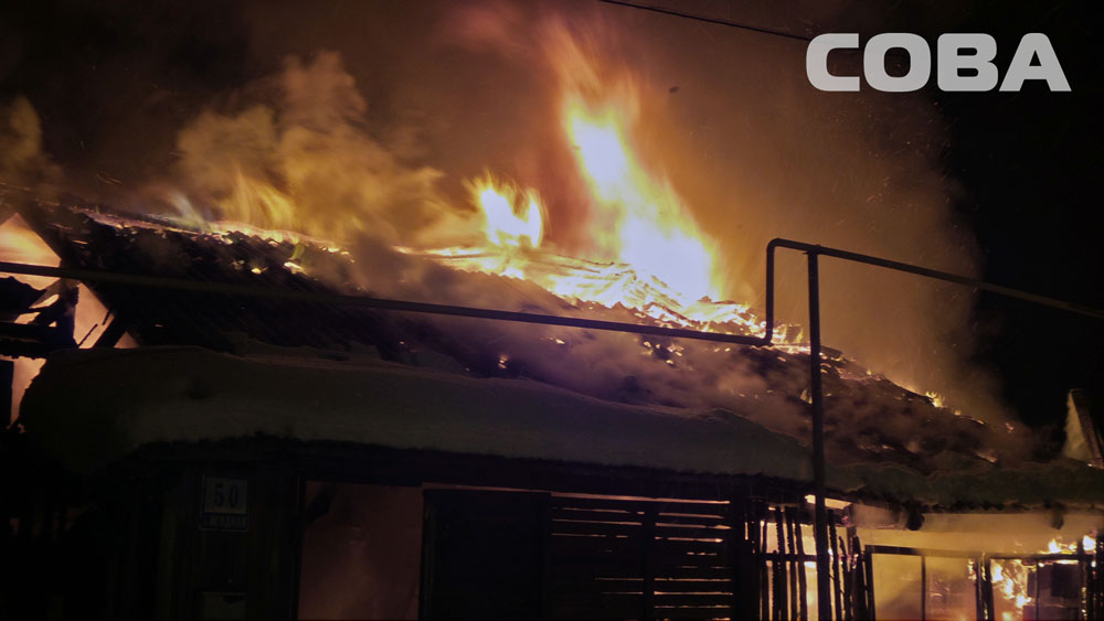 На улице Ягодной горели надворные постройки и гараж. Пожарные спасли кошку - Фото 4