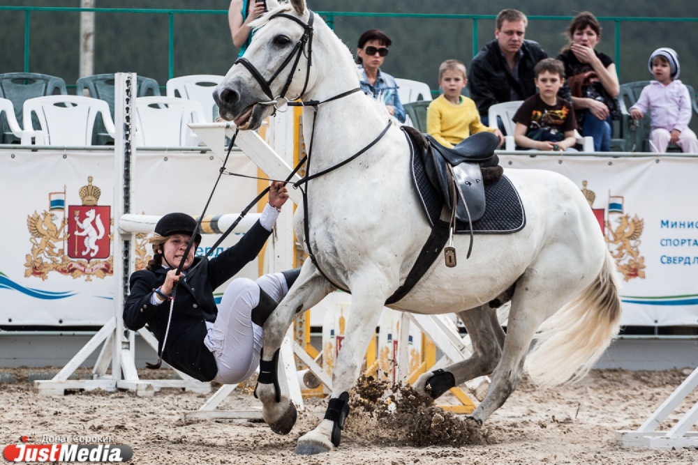 Вне КОНКУРенции! Свердловские всадники продолжают показывать высокие результаты в конном спорте - Фото 4