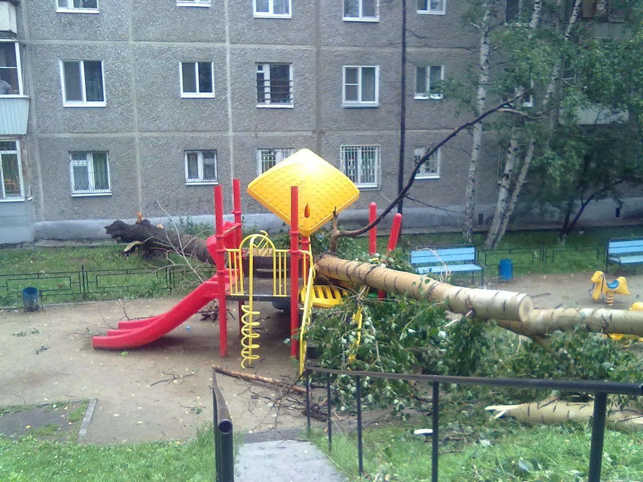 Сильный ветер в Екатеринбурге валит деревья на детские площадки и машины - Фото 2