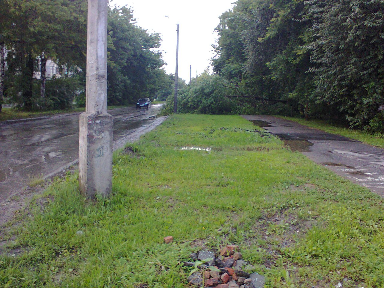 Езда с преградами. Дороги и тротуары Екатеринбурга завалило деревьями. ФОТО - Фото 12