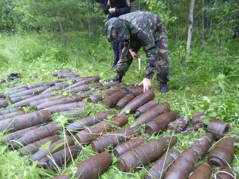 В Полевском грибники нашли в лесу 90 снарядов - Фото 6