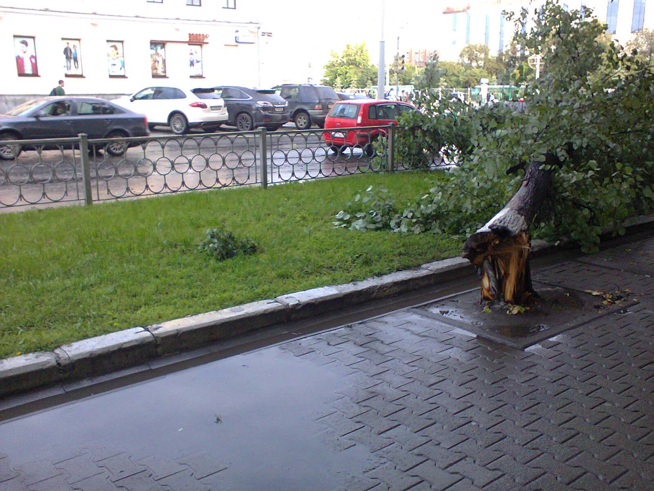 Езда с преградами. Дороги и тротуары Екатеринбурга завалило деревьями. ФОТО - Фото 13