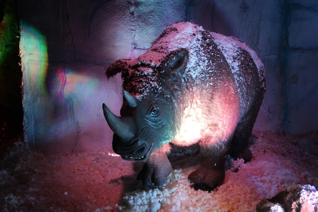 «Странные» доисторические животные. Горожане удивлены ценой и количеством экспонатов выставки «Ледниковый Период» - Фото 3