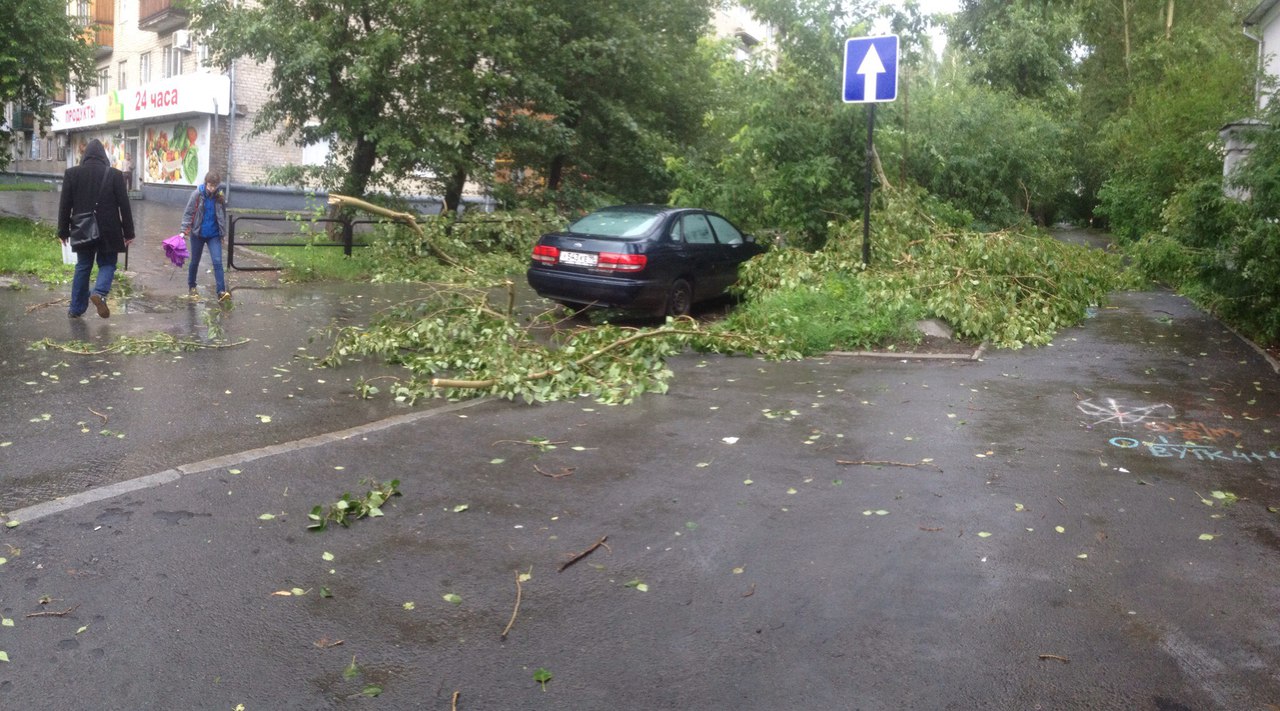 Езда с преградами. Дороги и тротуары Екатеринбурга завалило деревьями. ФОТО - Фото 6