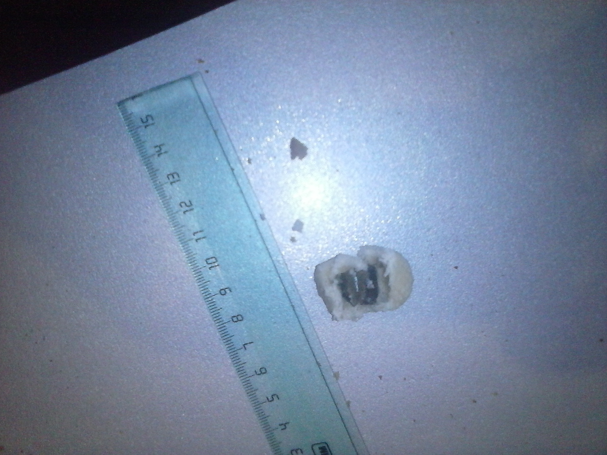 В конфетах для осужденного ИК-53 в Верхотурье нашли наркотики - Фото 2