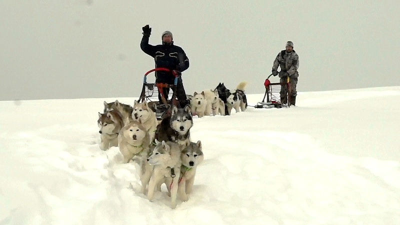 Уральские экстремалы покорили перевал Дятлова на собачьих упряжках - Фото 7