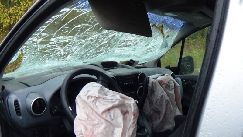 Скончалась еще одна пострадавшая в ДТП на автодороге Первоуральск—Шаля - Фото 4