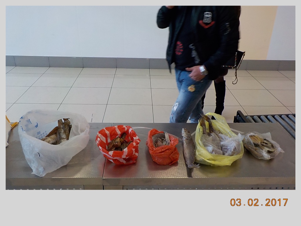 В Кольцово в багаже китайца нашли живых крабов. Животные практически впали в кому  - Фото 3